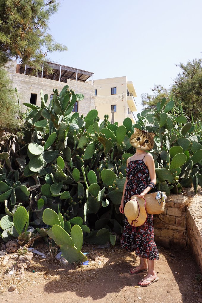 踏上地中海的心脏之骑士马耳他,马耳他旅游攻略