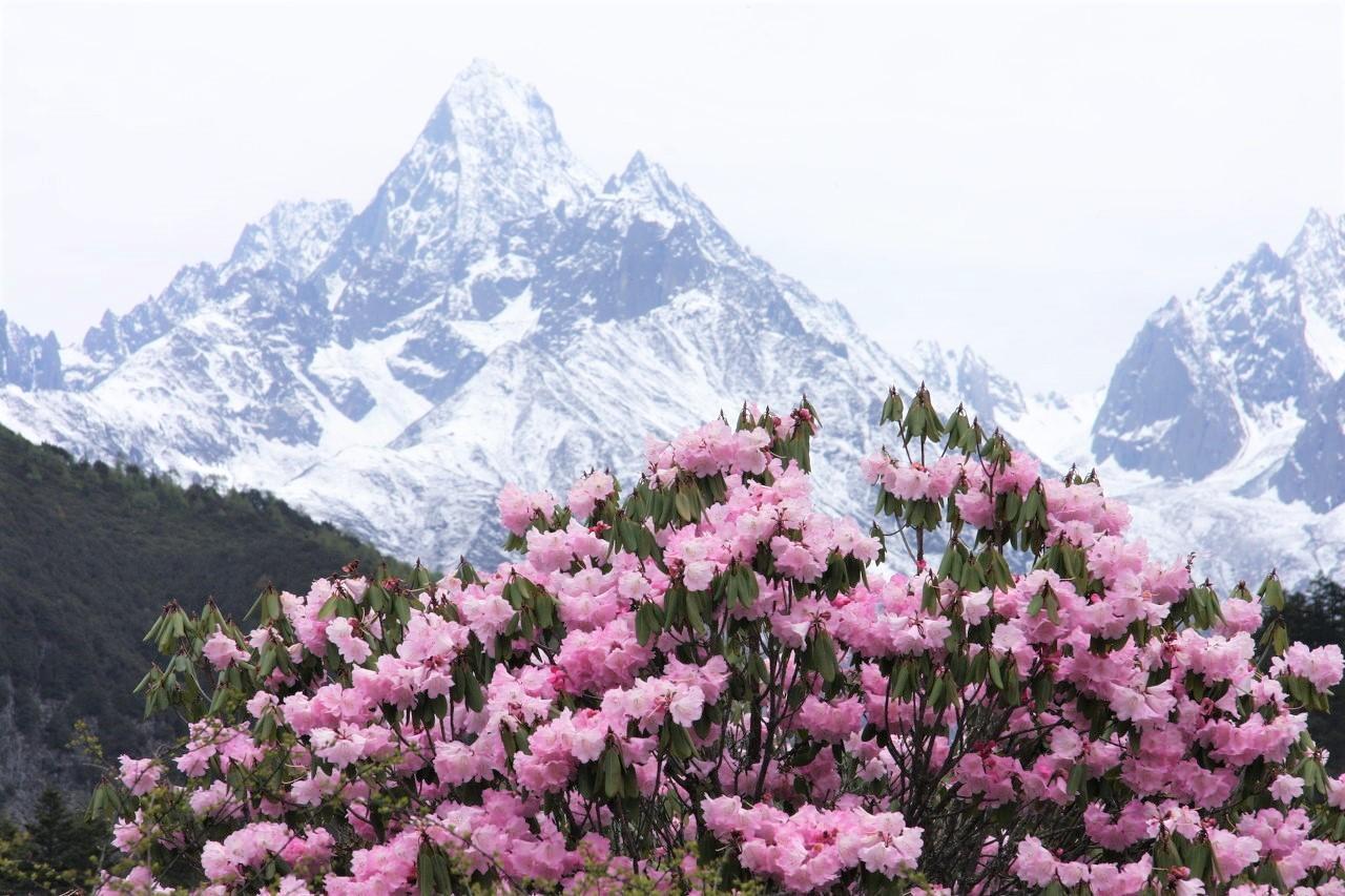  贡嘎雪山在哪里？夏天去体验怎样？