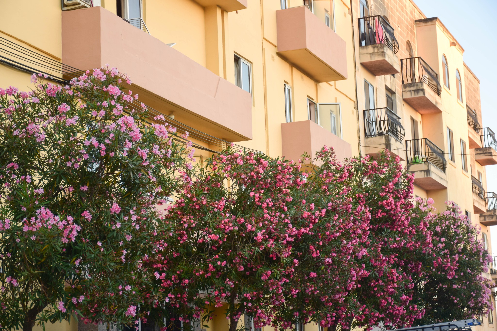 在地中海的风中 遇见蓝色Malta,马耳他自助游攻略