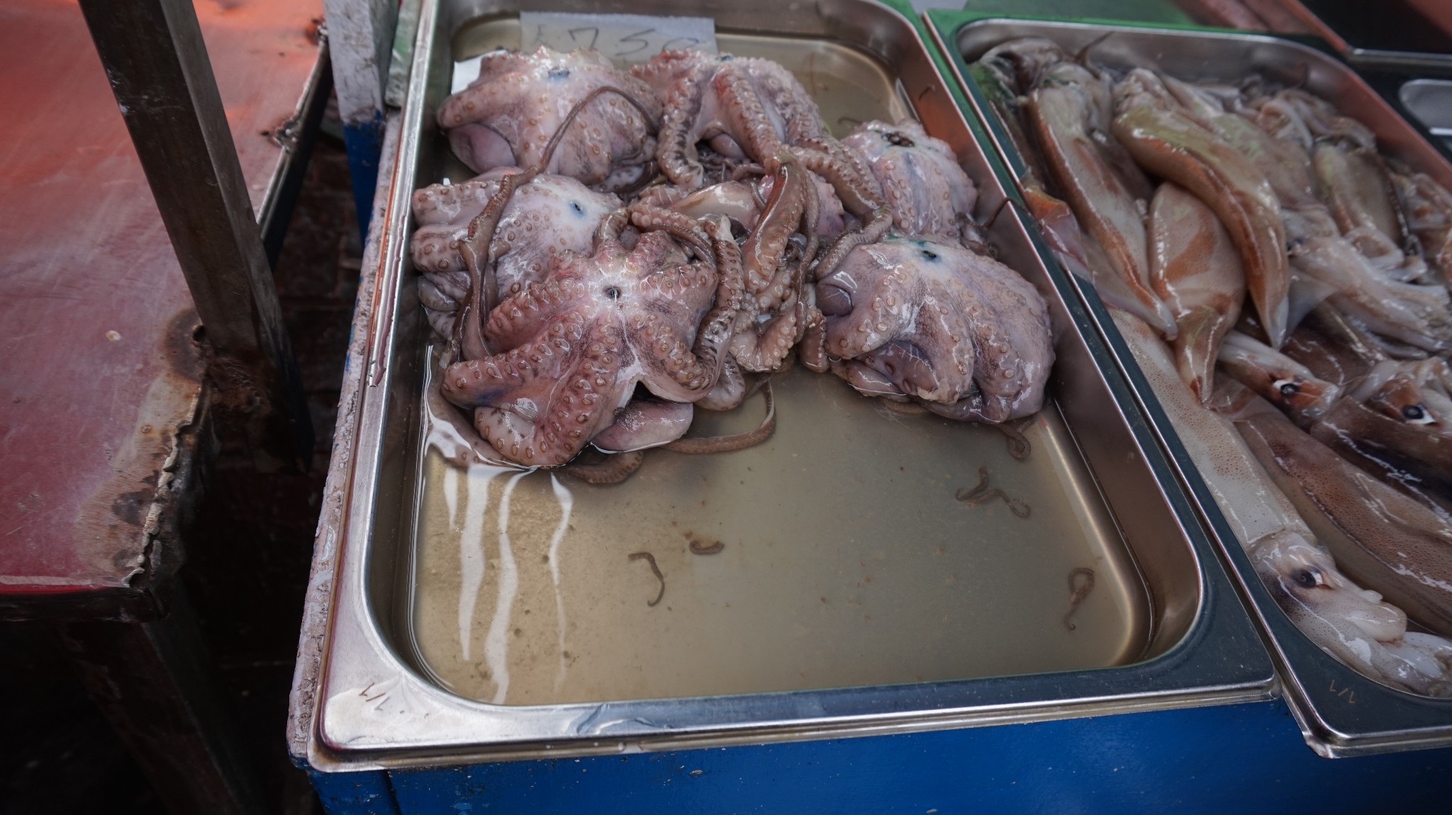 人性的遗迹一初识马耳他,马耳他自助游攻略