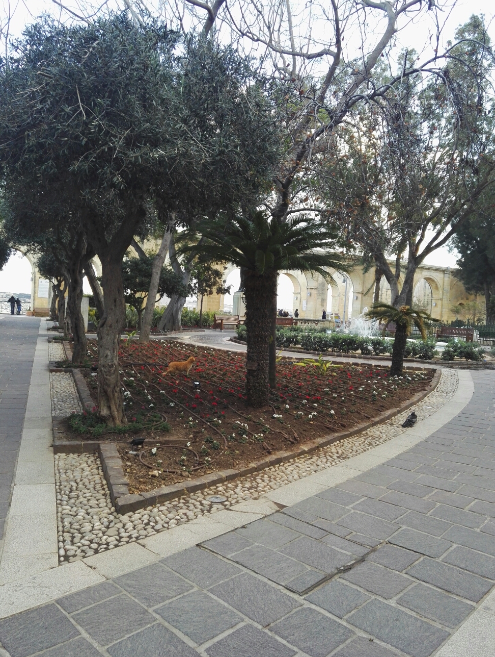 马耳他西西里5日游,马耳他旅游攻略