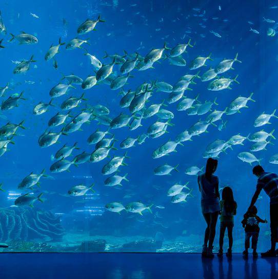 珠海长隆海洋王国门票价格（2021最新）