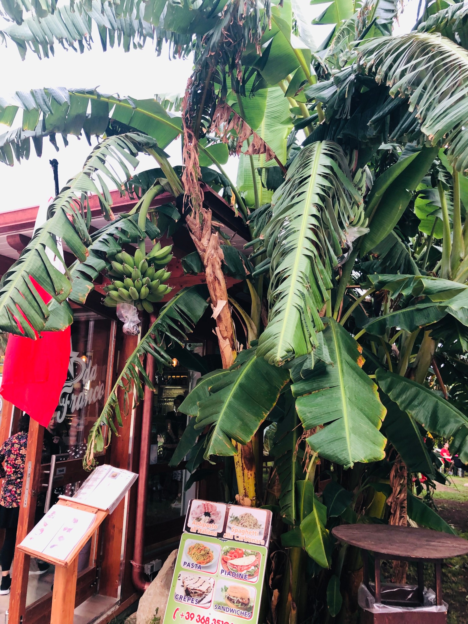 戈佐岛,马耳他旅游攻略