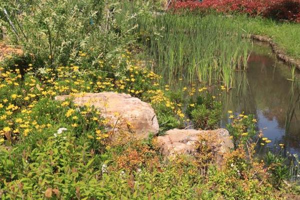 2021教师节昆山市城市生态森林公园活动