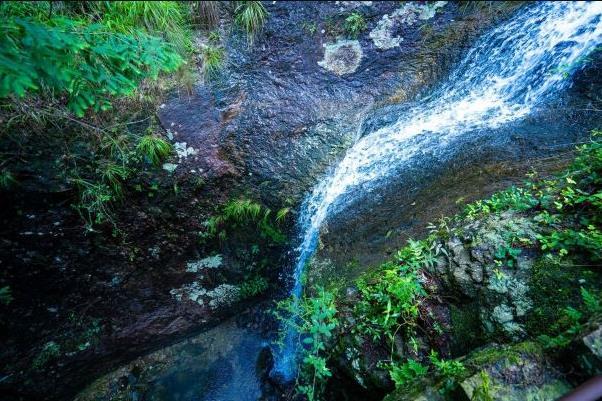 2021温州雁荡山景区所有宗教场所恢复开放