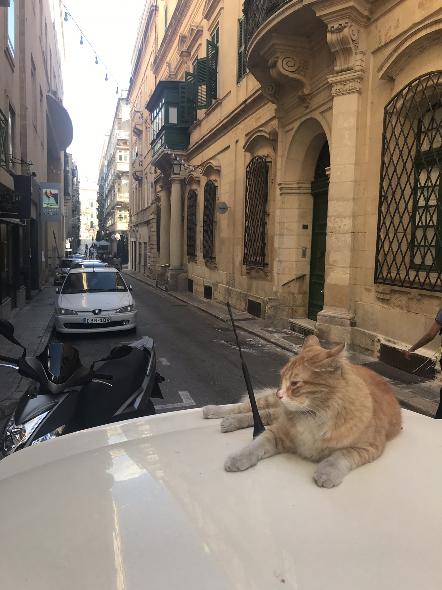 有一种蓝,叫马耳他