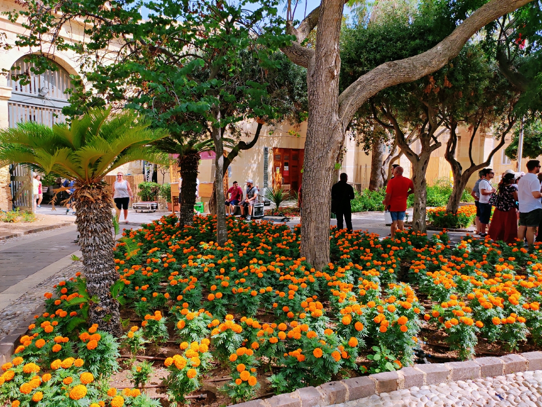 上巴拉卡花园,马耳他自助游攻略