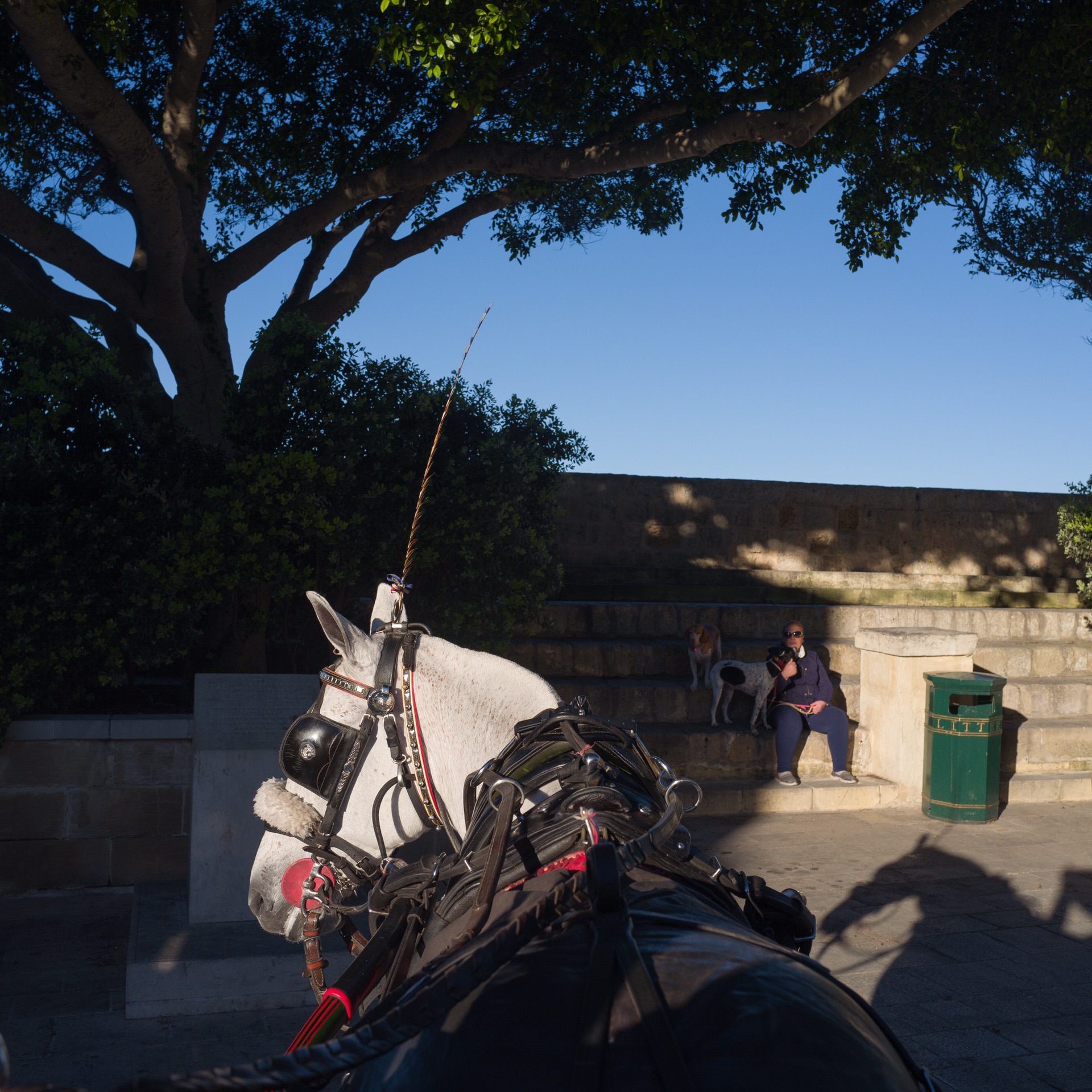 孑然而神秘 马耳他的冰与火之歌,马耳他旅游攻略